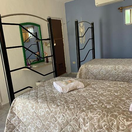 Hotel Casa Centro 70 Mérida Zewnętrze zdjęcie