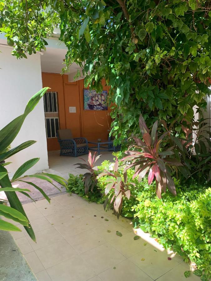 Hotel Casa Centro 70 Mérida Zewnętrze zdjęcie