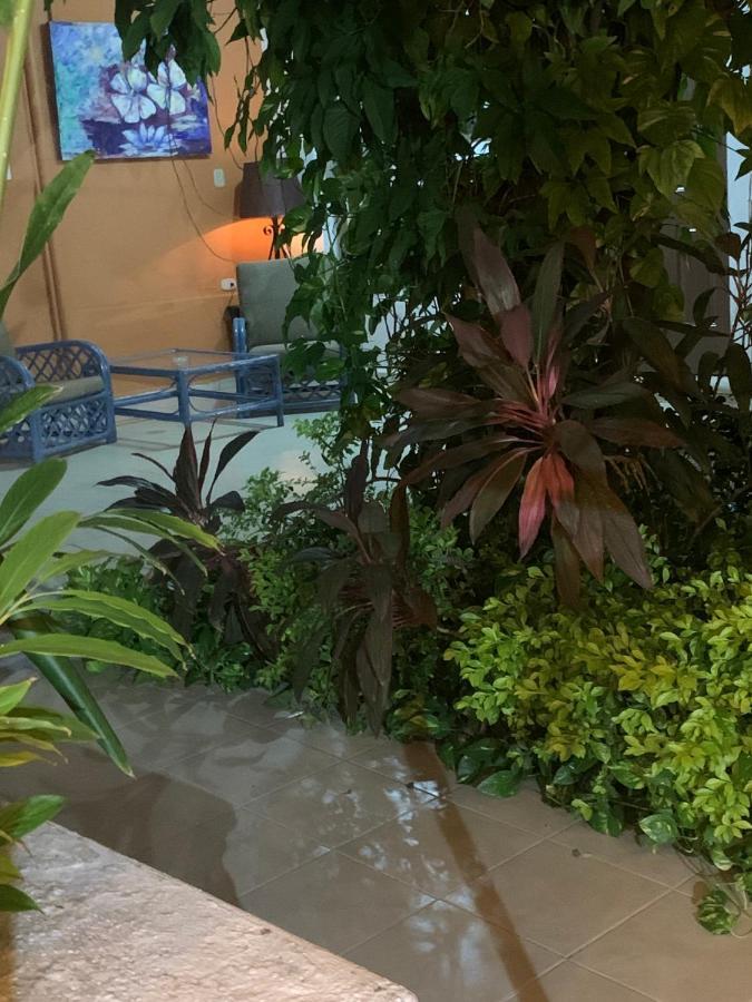 Hotel Casa Centro 70 Mérida Zewnętrze zdjęcie
